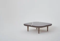 Fly Table SC4