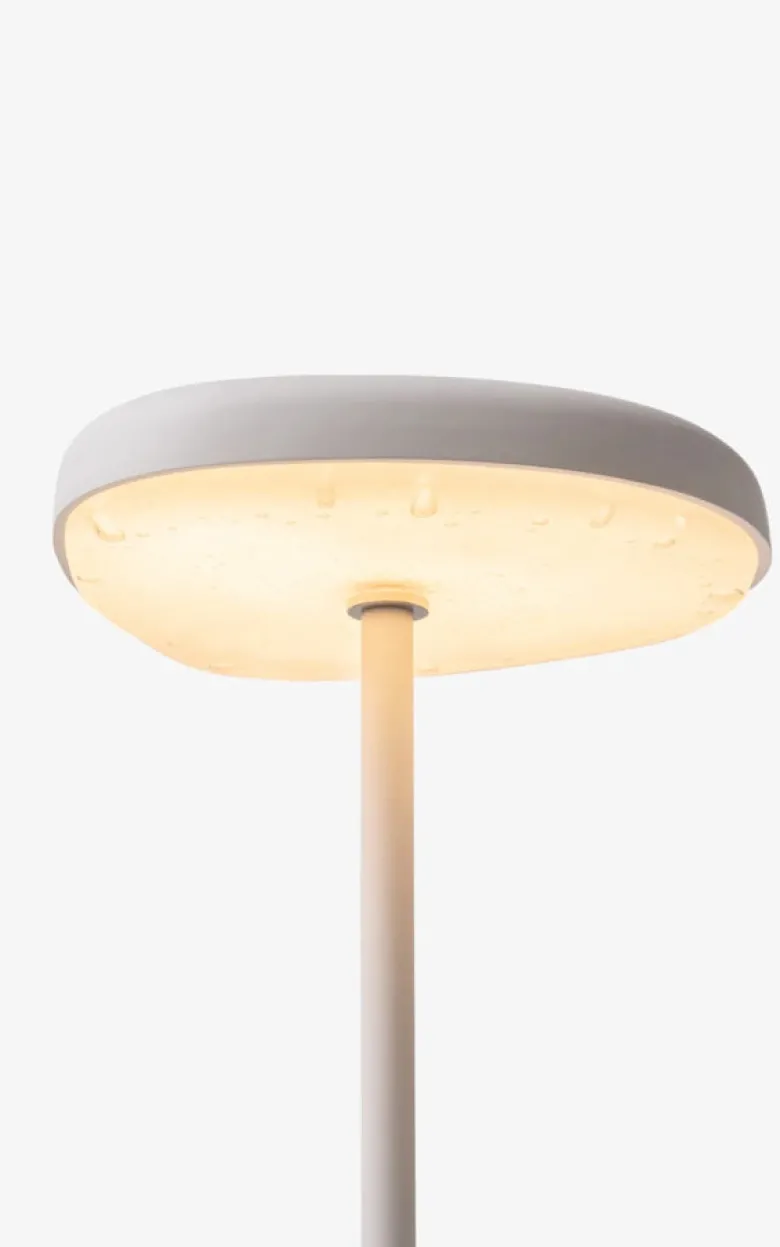 Fungi #1 Floor Lamp