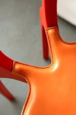 Gaulinetta