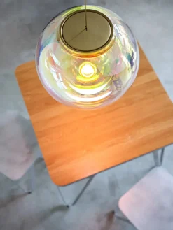 Iris Globe