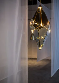 Maxhedron 30