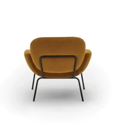 Momo Armchair