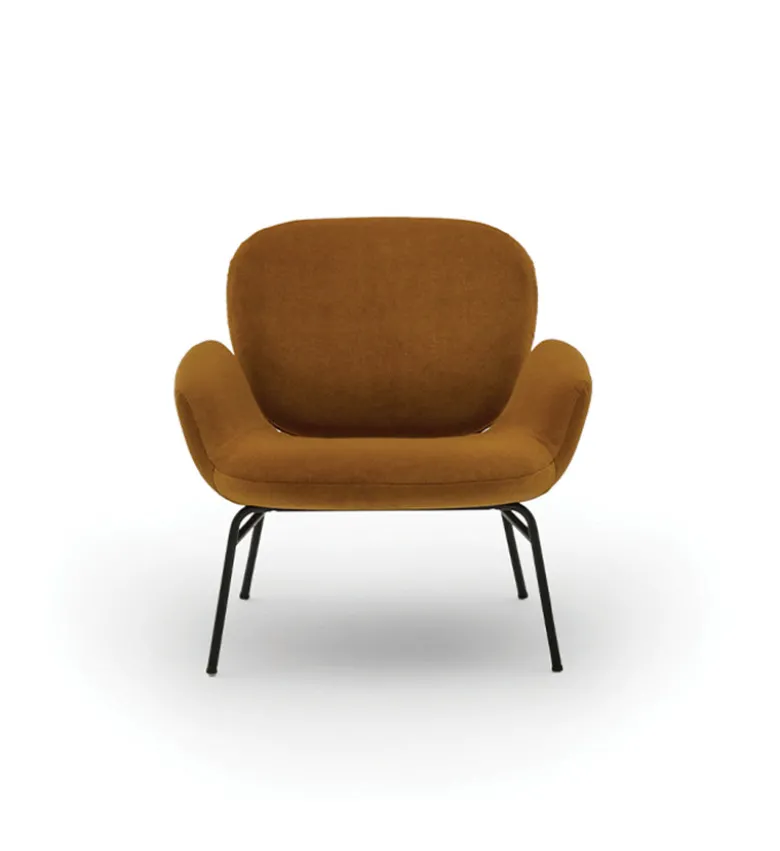 Momo Armchair