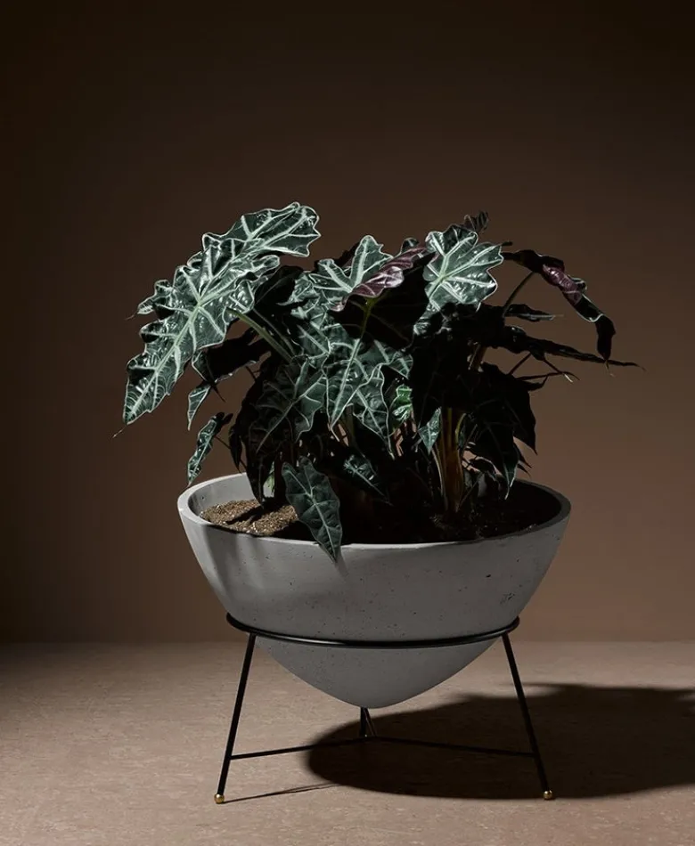 Oca Planter 1