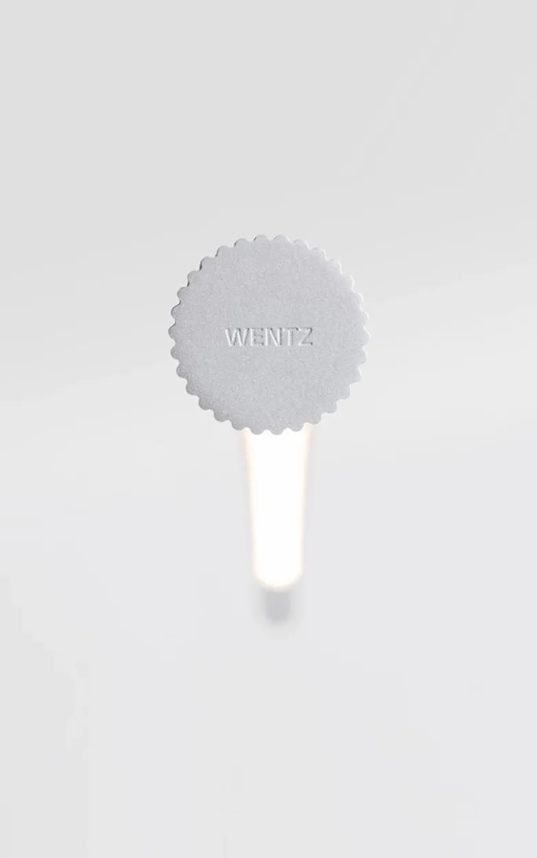 Palo Pendant