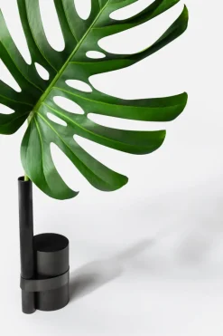 Pós-Tropical Vase