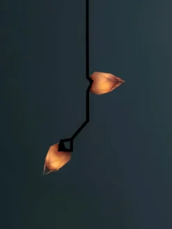 Seed Pendant