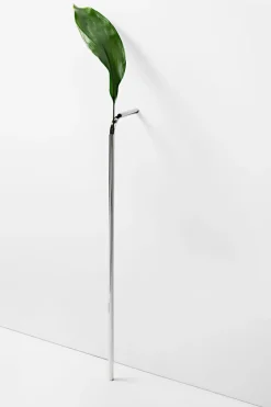 Solo Vase