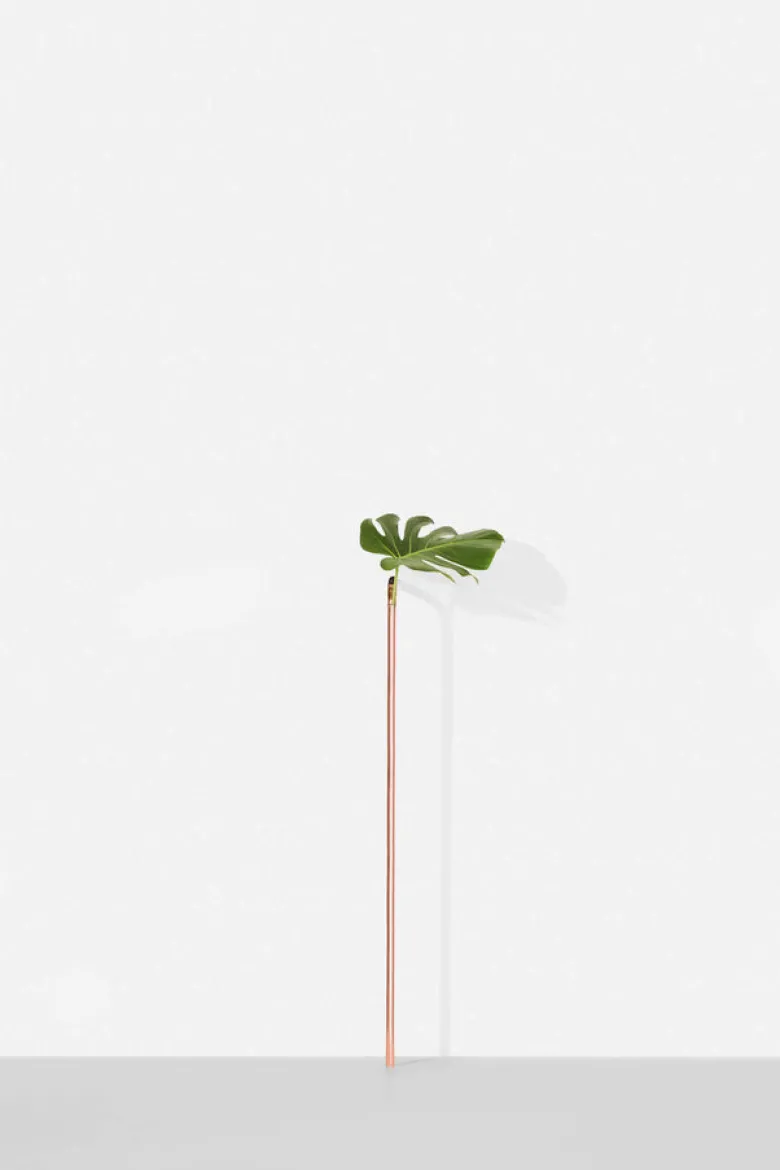 Solo Vase