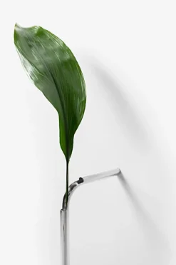 Solo Vase