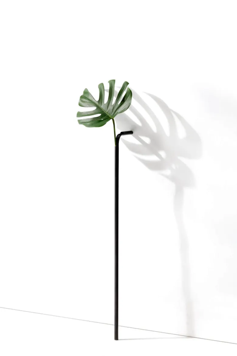 Solo Vase