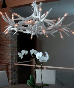 Superordinate Antler Chandelier - 12 Antlers